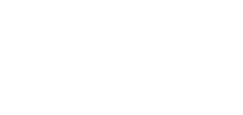 Veiga's 484